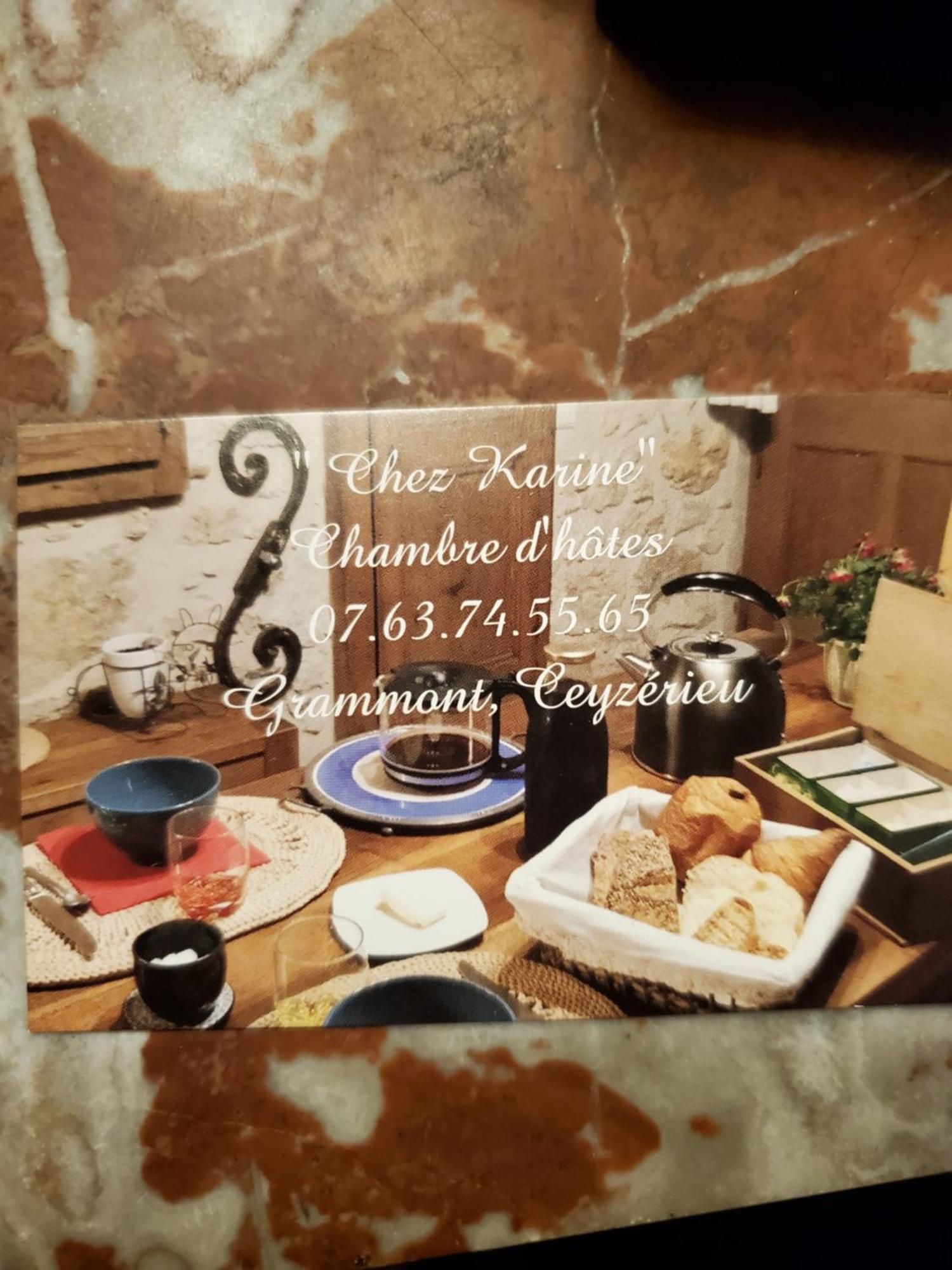 Chez Karine Bed & Breakfast Ceyzerieu Luaran gambar